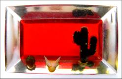 Acrylic art piece depicting desert scene